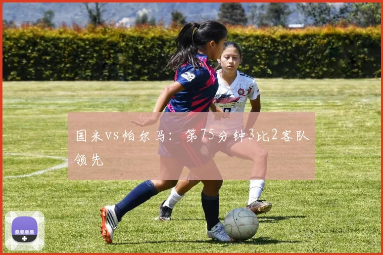 国米vs帕尔马：第75分钟3比2客队领先